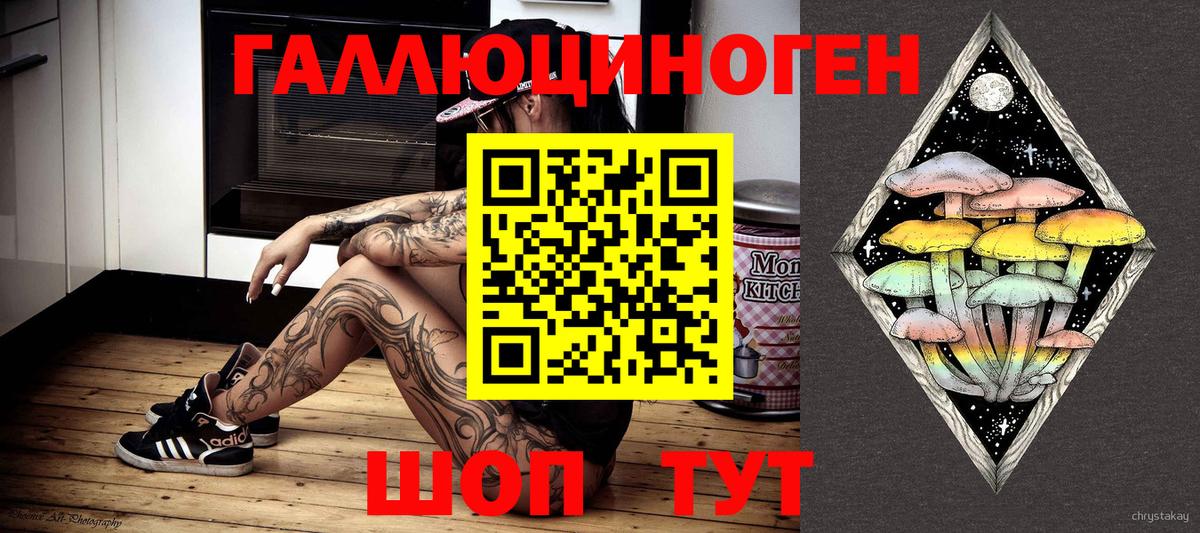 Псилоцибиновые грибы мицелий  Вход с VPN  Верхняя Пышма  Псилоцибиновые грибы Psilocybine cubensis 