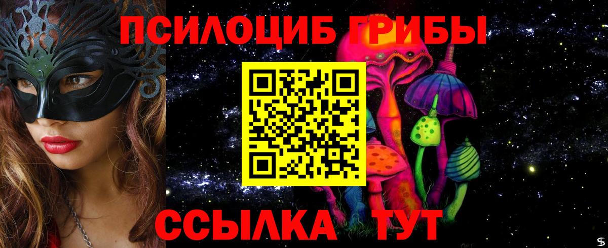 Псилоцибиновые грибы MAGIC MUSHROOMS Верхняя Пышма